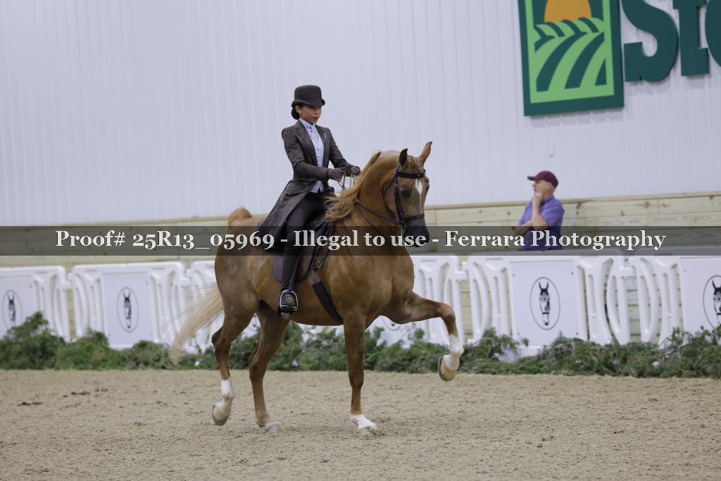 Proof Number 25R13_05969