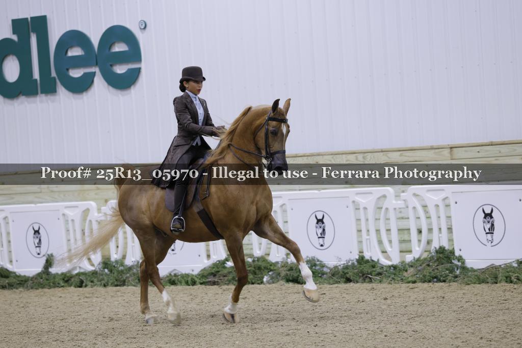 Proof Number 25R13_05970