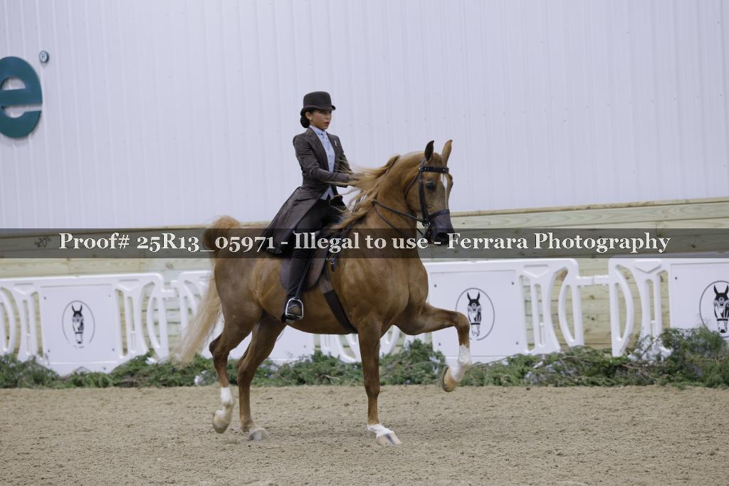 Proof Number 25R13_05971