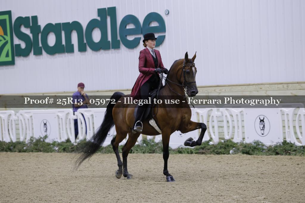 Proof Number 25R13_05972