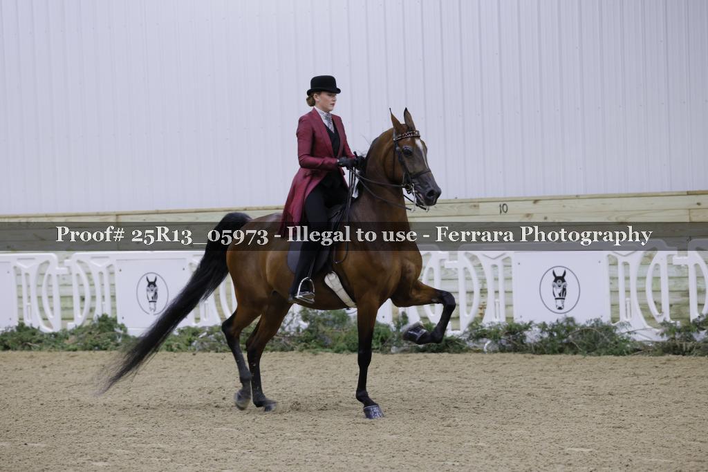 Proof Number 25R13_05973