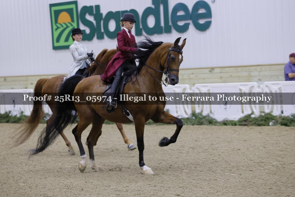 Proof Number 25R13_05974