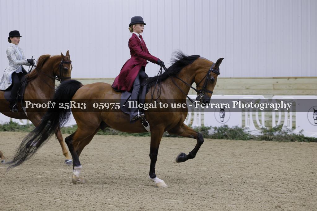 Proof Number 25R13_05975