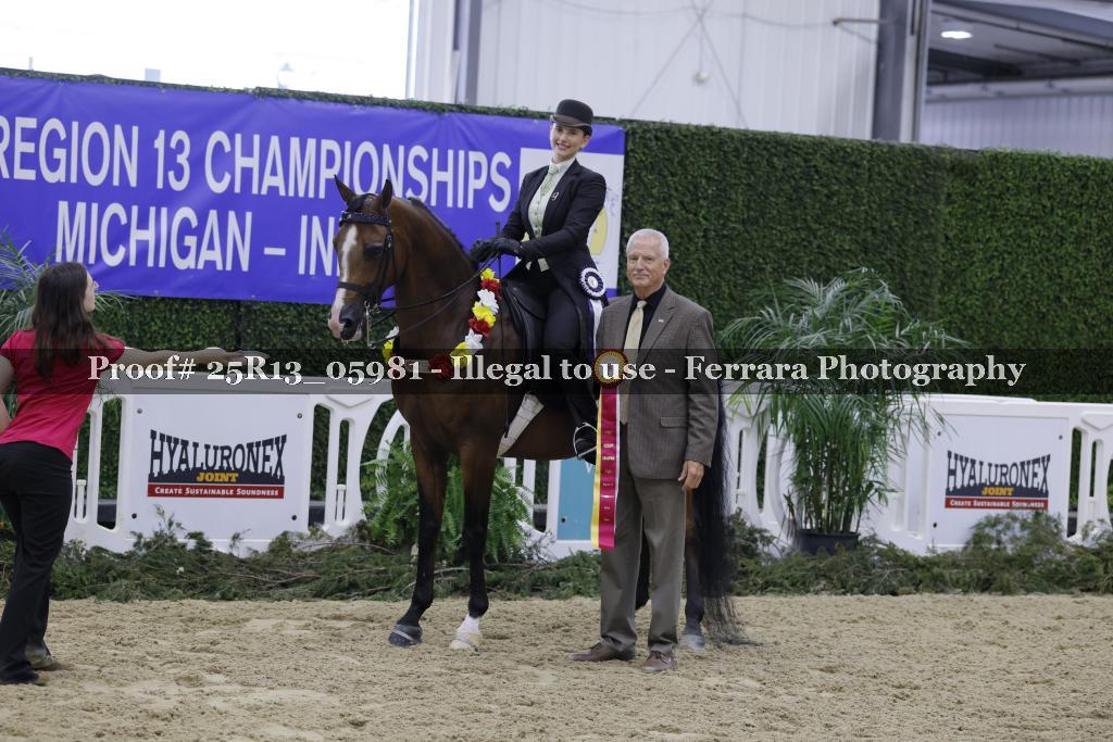 Proof Number 25R13_05981