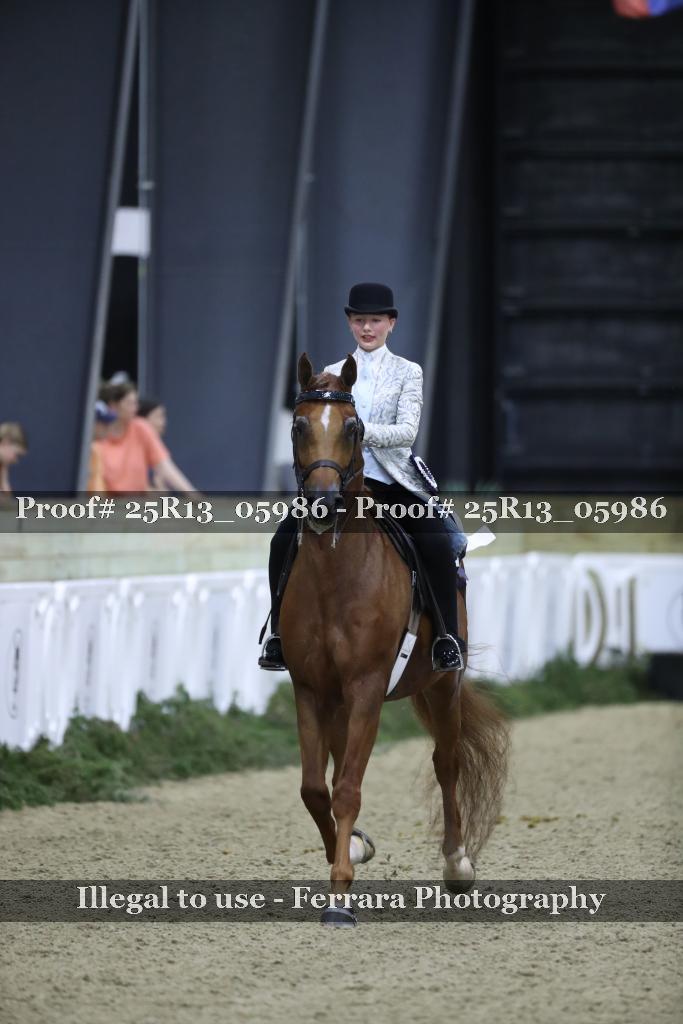 Proof Number 25R13_05986
