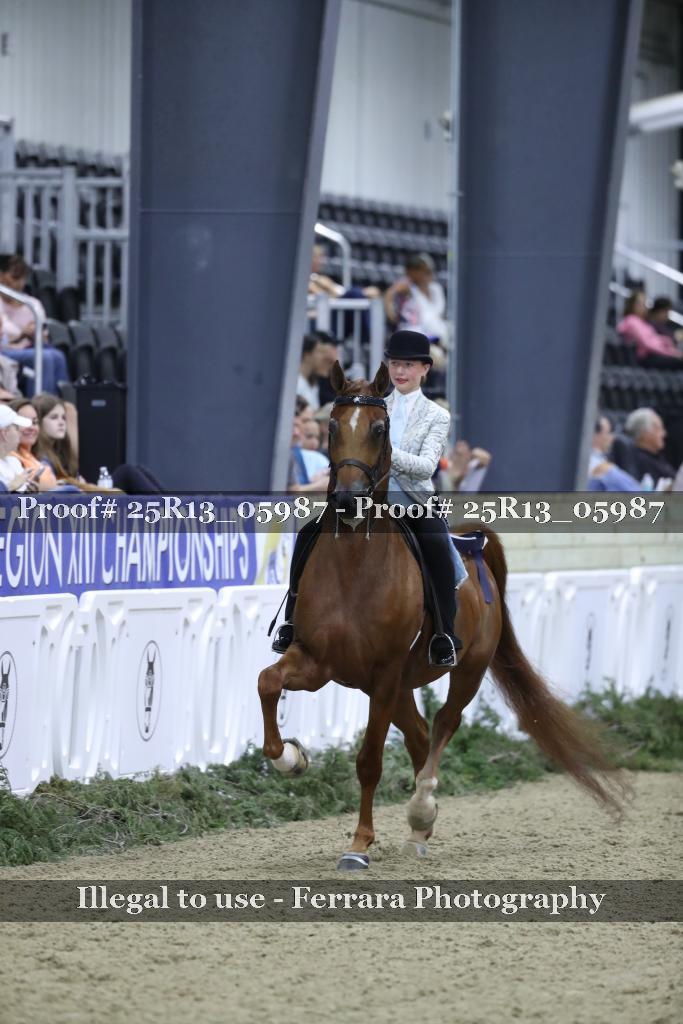 Proof Number 25R13_05987