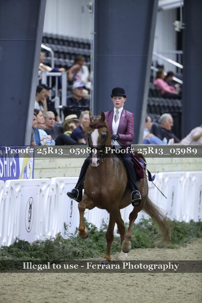 Proof Number 25R13_05989