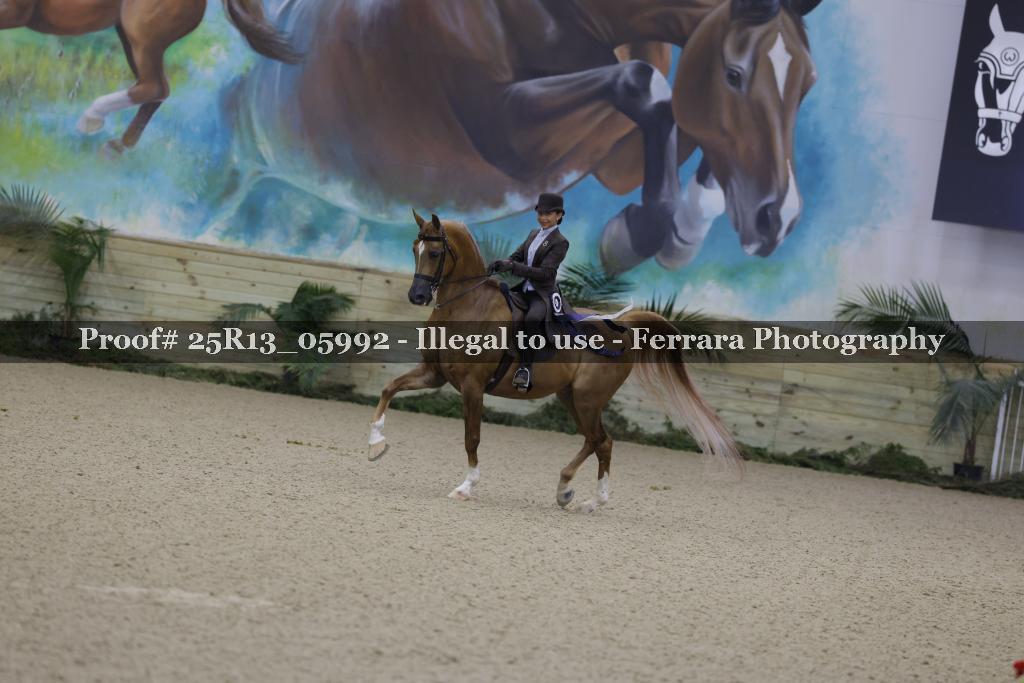 Proof Number 25R13_05992