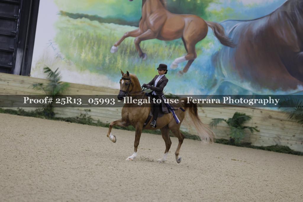 Proof Number 25R13_05993