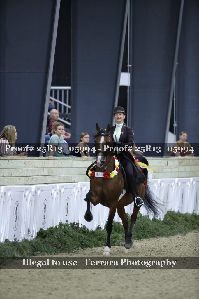 Proof Number 25R13_05994