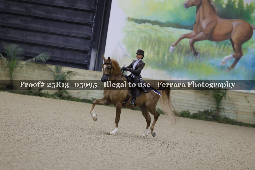 Proof Number 25R13_05995