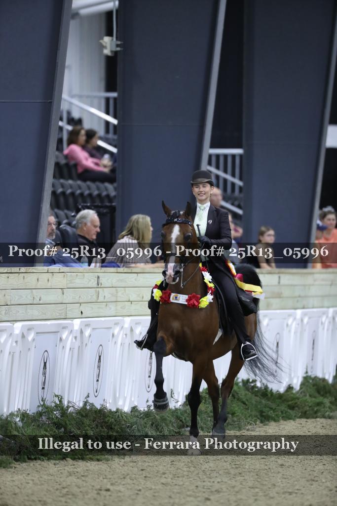 Proof Number 25R13_05996