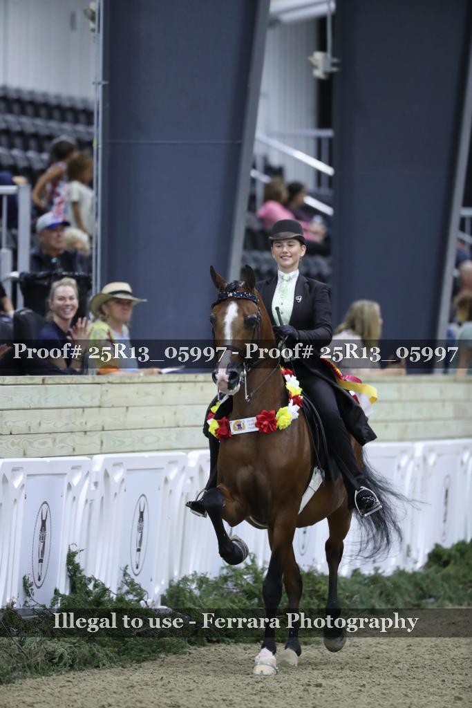 Proof Number 25R13_05997