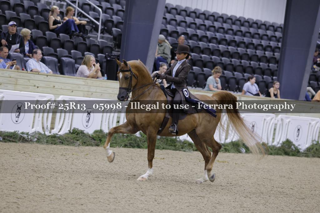 Proof Number 25R13_05998