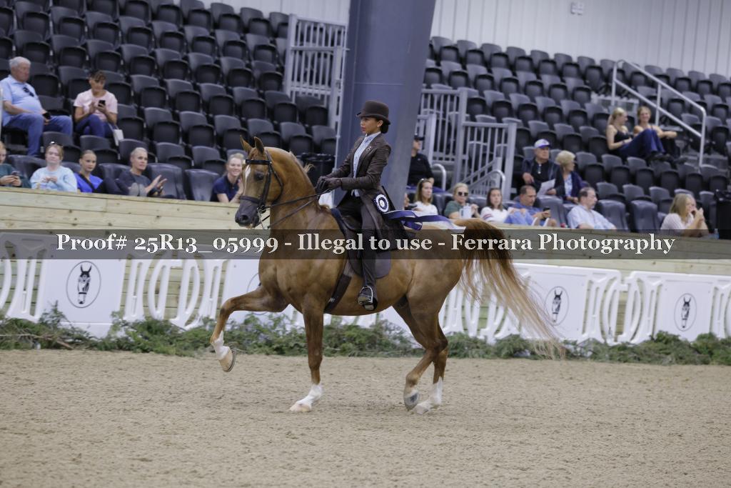 Proof Number 25R13_05999