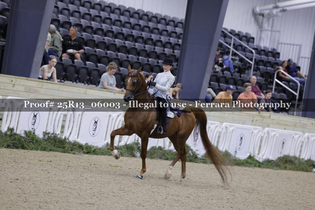 Proof Number 25R13_06003