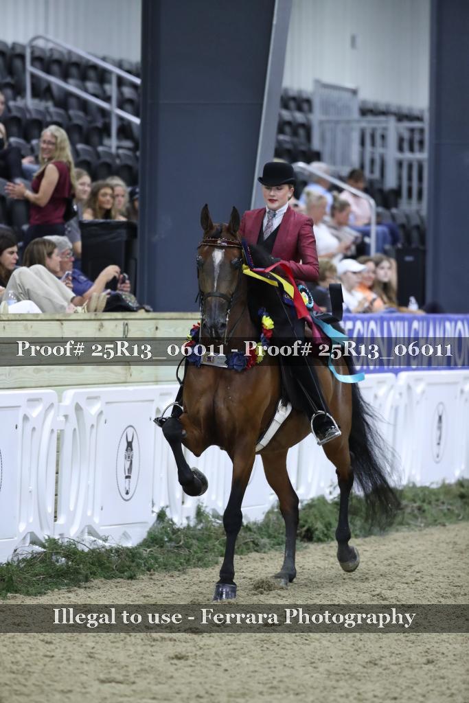 Proof Number 25R13_06011