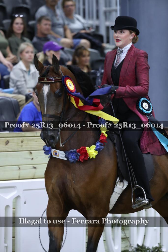 Proof Number 25R13_06014