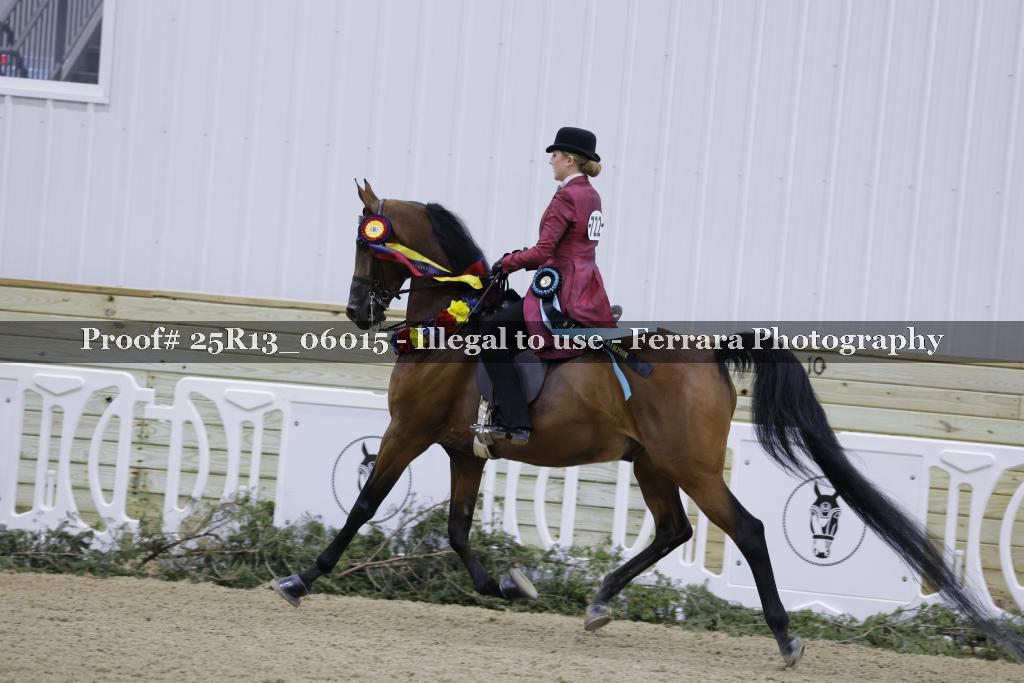 Proof Number 25R13_06015