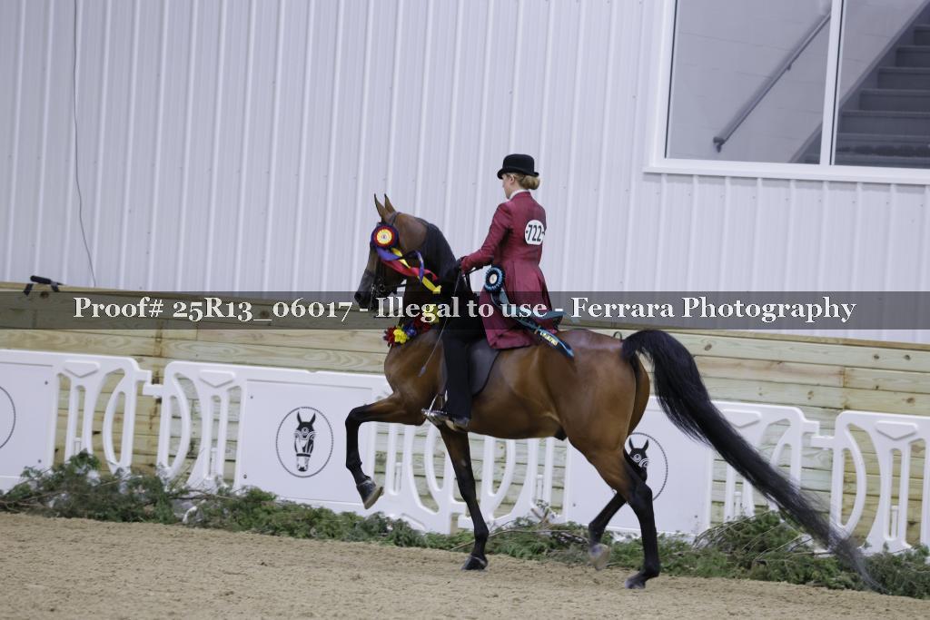 Proof Number 25R13_06017