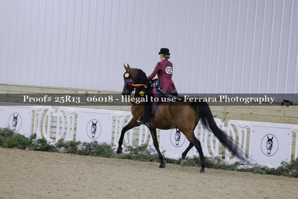 Proof Number 25R13_06018