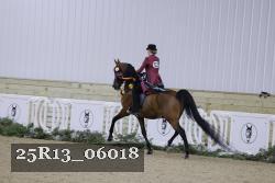 25R13_06018 thumbnail