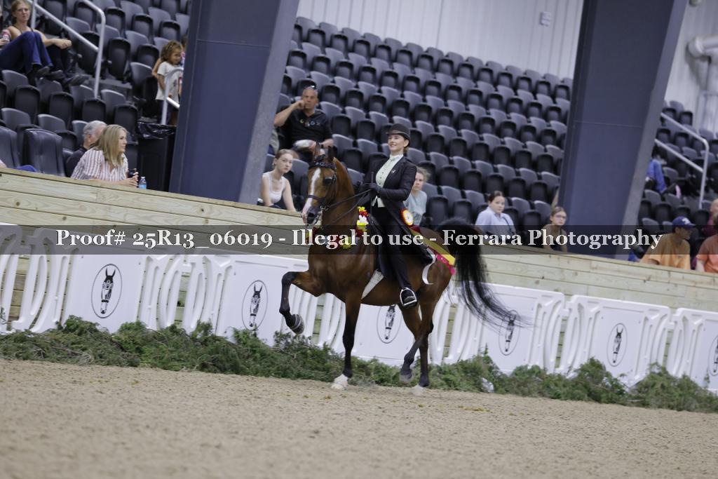 Proof Number 25R13_06019