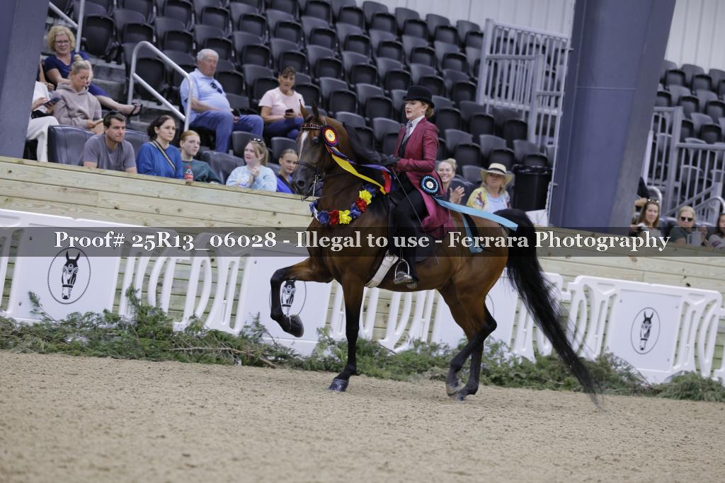 Proof Number 25R13_06028