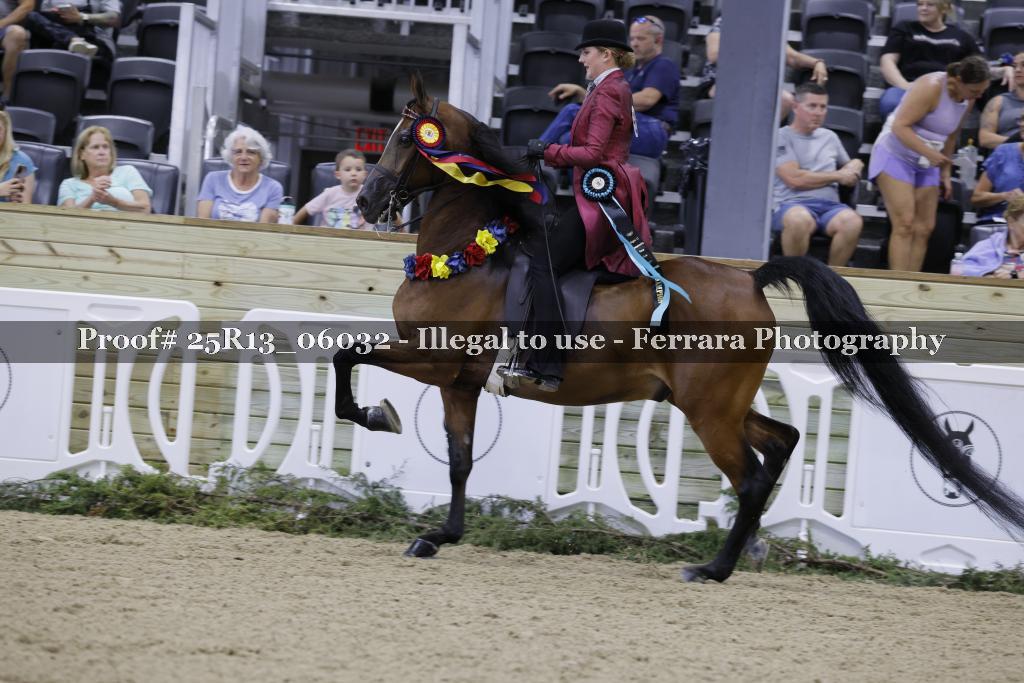 Proof Number 25R13_06032