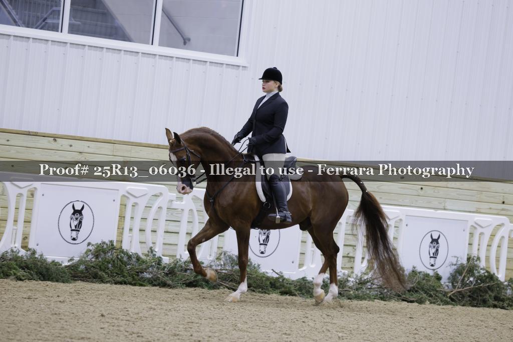 Proof Number 25R13_06036
