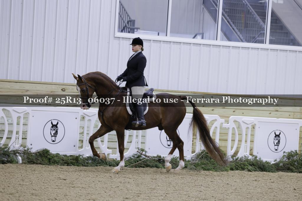Proof Number 25R13_06037