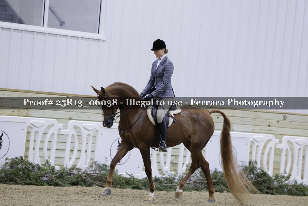 Proof Number 25R13_06038