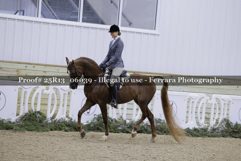 Proof Number 25R13_06039