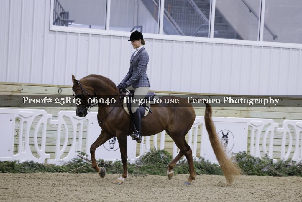 Proof Number 25R13_06040