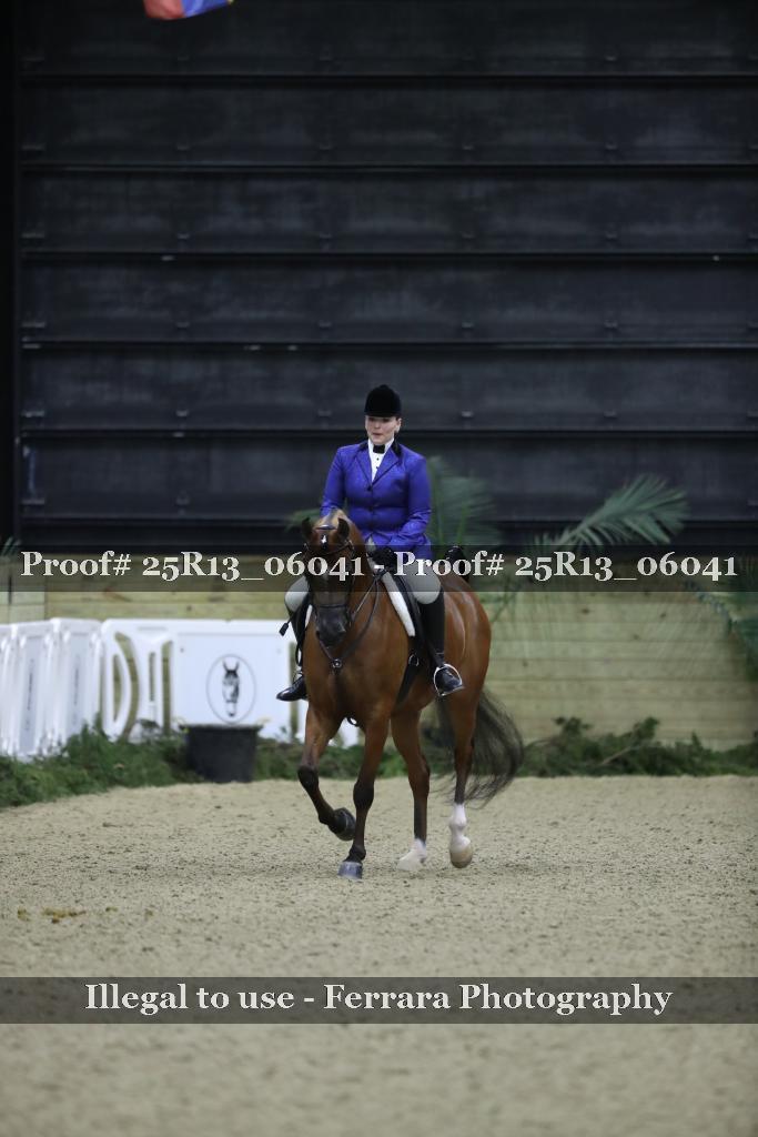 Proof Number 25R13_06041