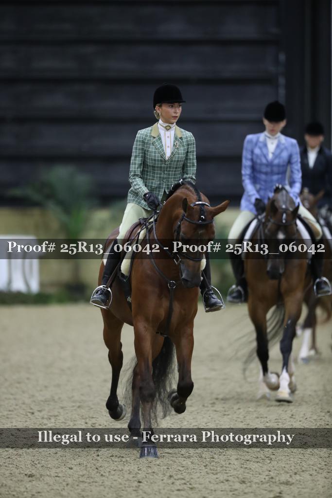 Proof Number 25R13_06042