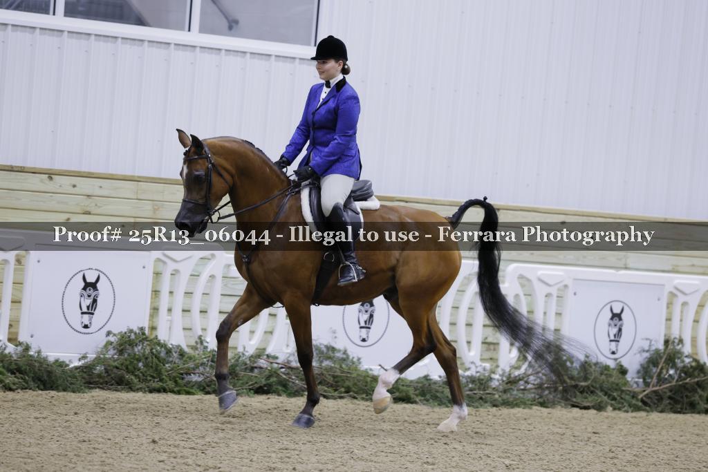 Proof Number 25R13_06044