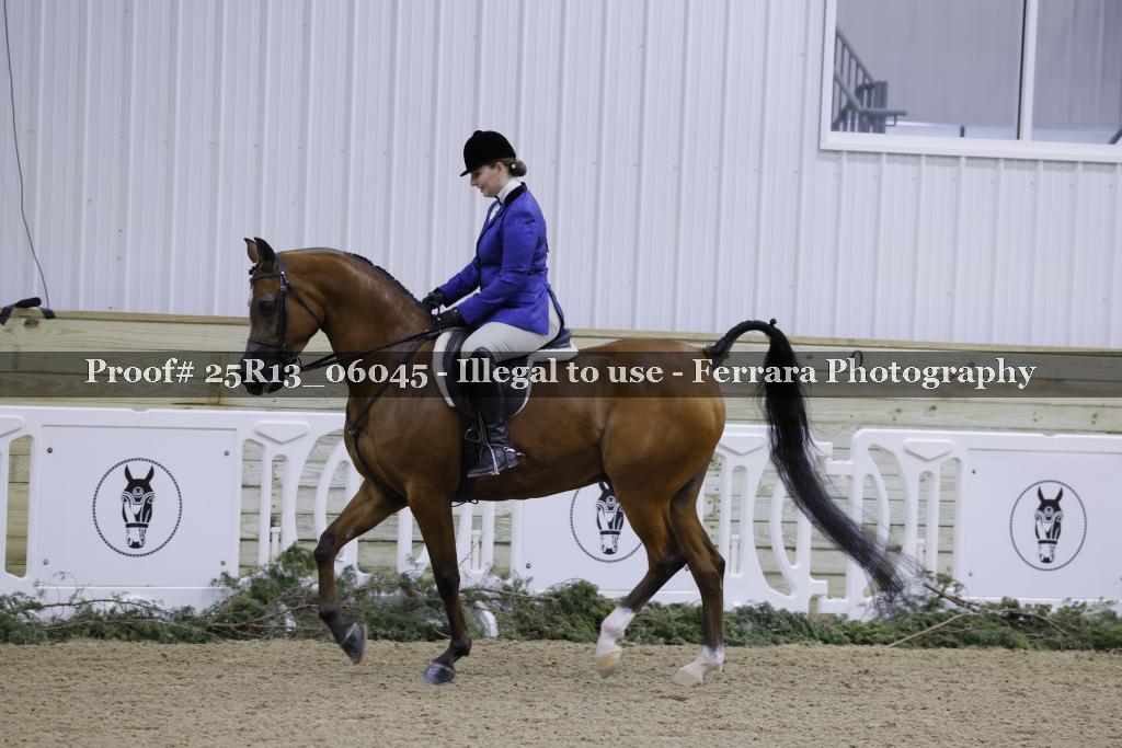 Proof Number 25R13_06045