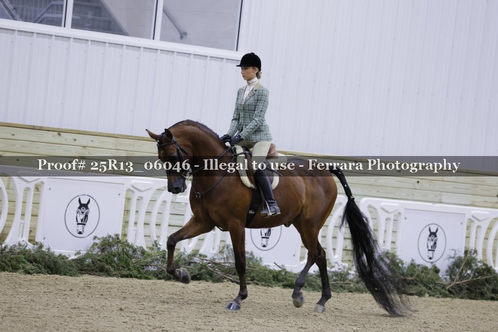 Proof Number 25R13_06046