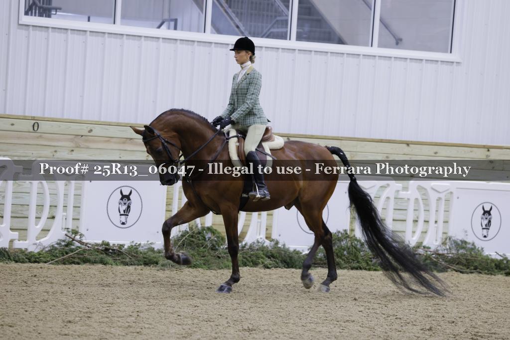 Proof Number 25R13_06047