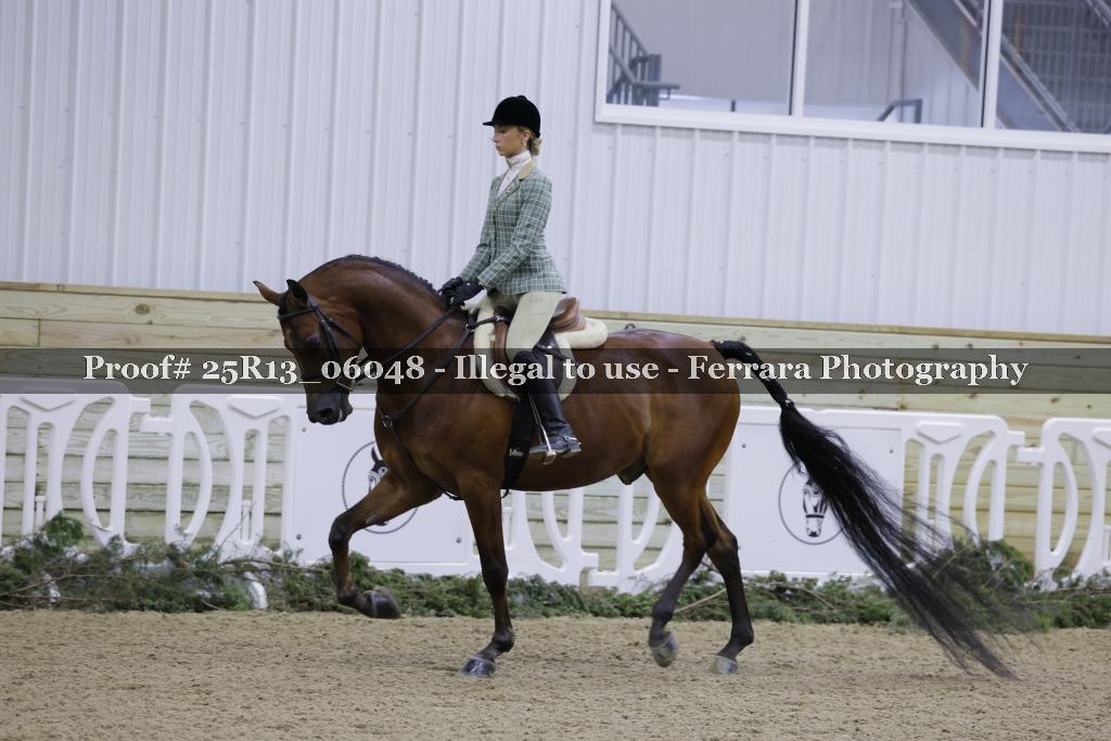 Proof Number 25R13_06048