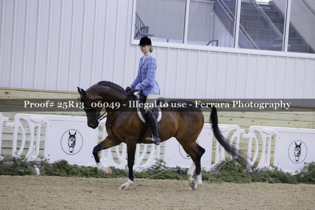 Proof Number 25R13_06049