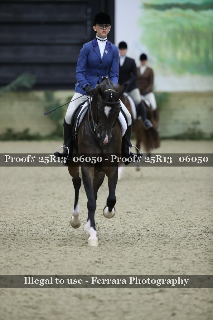 Proof Number 25R13_06050