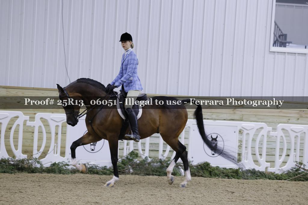 Proof Number 25R13_06051