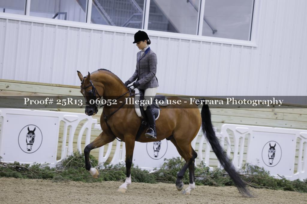 Proof Number 25R13_06052