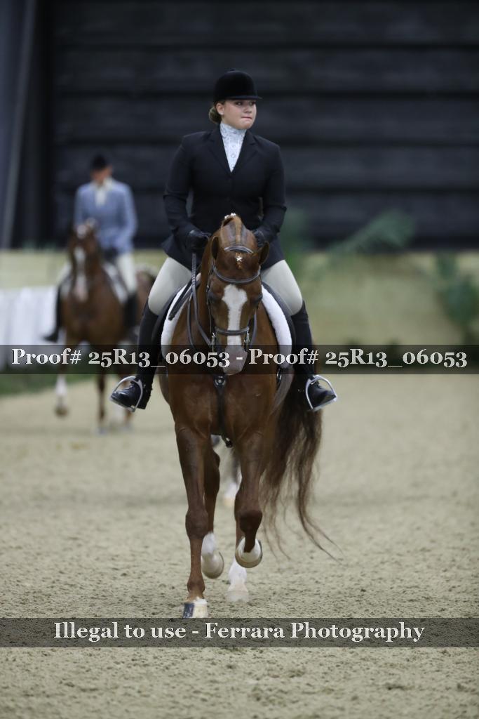 Proof Number 25R13_06053