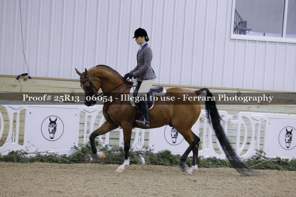 Proof Number 25R13_06054