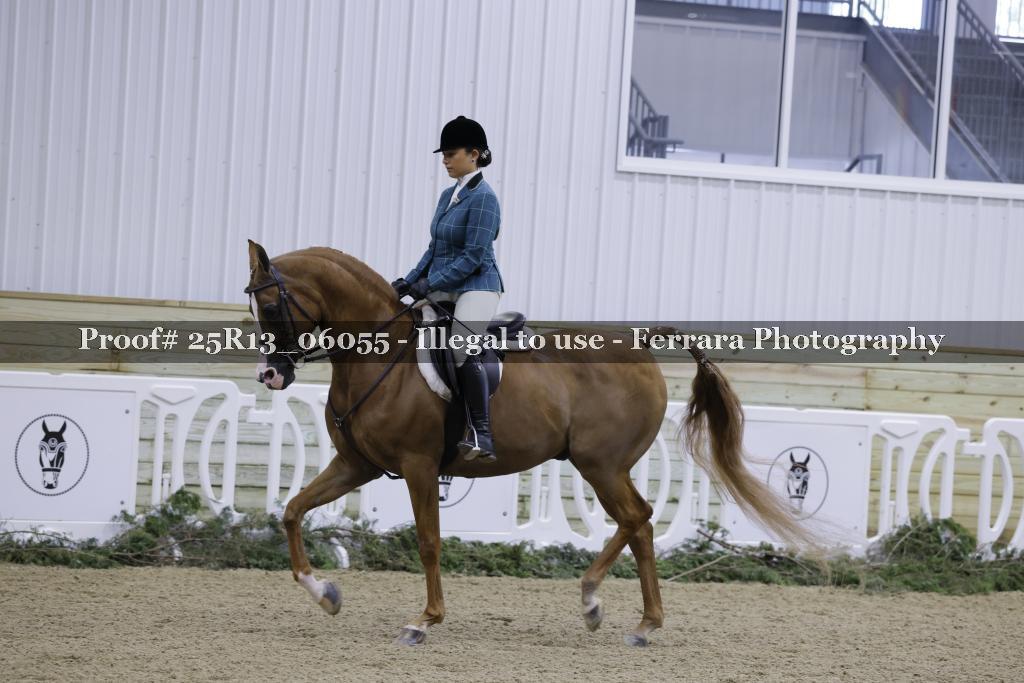Proof Number 25R13_06055