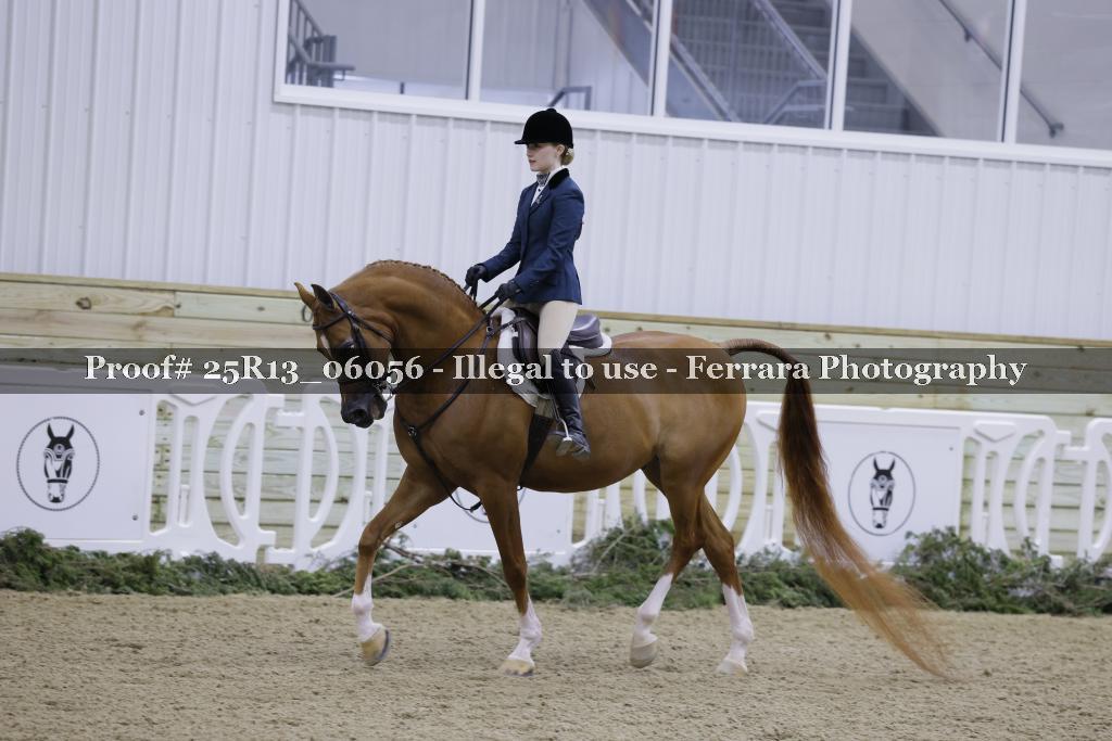 Proof Number 25R13_06056