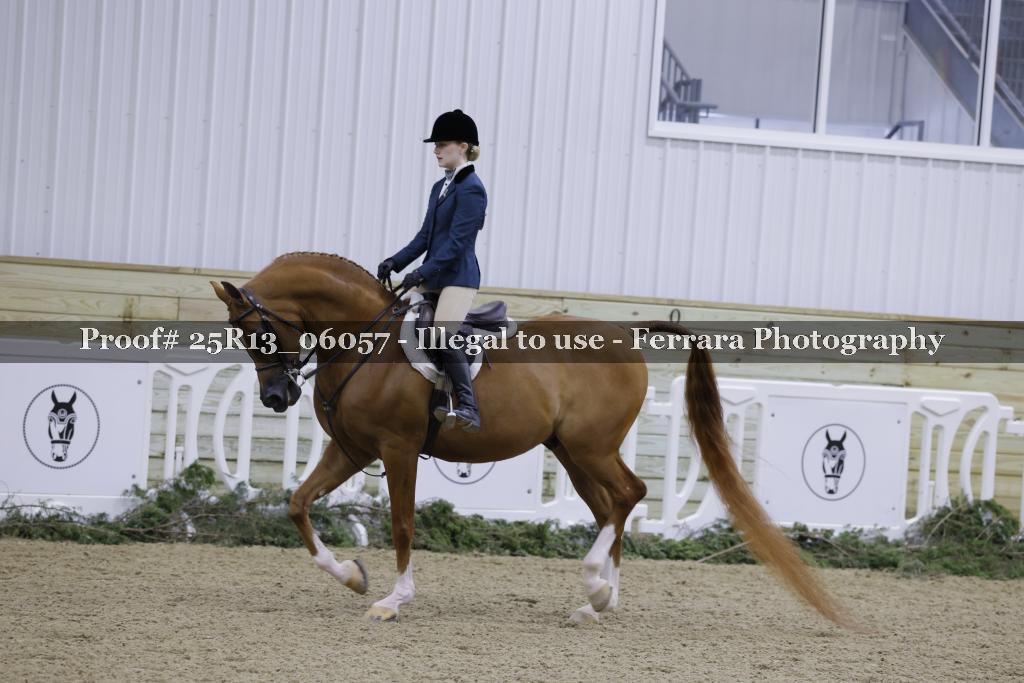 Proof Number 25R13_06057